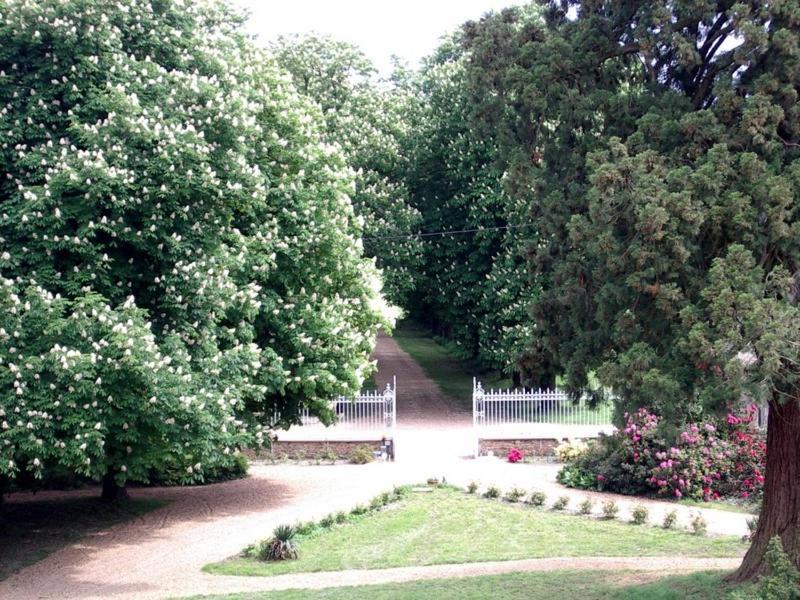 Chateau De Montbraye Parigne-l'Eveque Ngoại thất bức ảnh